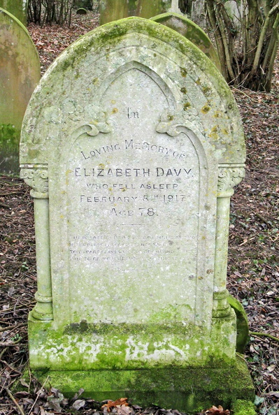 DAVY Elizabeth 1917.jpg